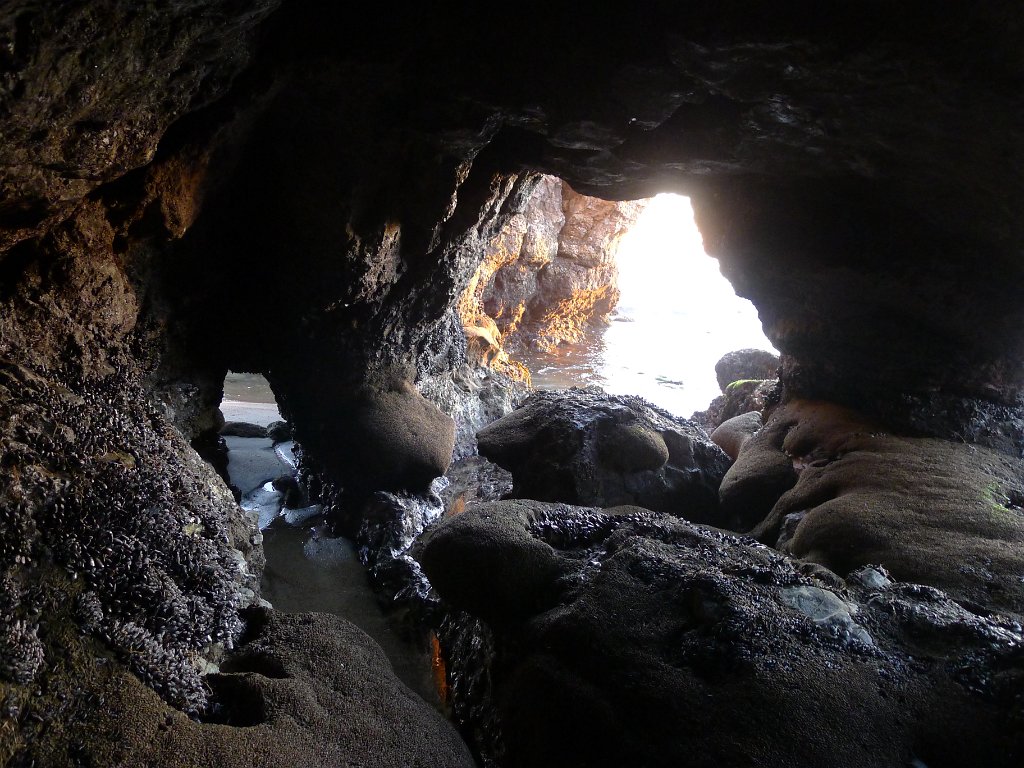 2014-01-17 PointReyesCamping 042